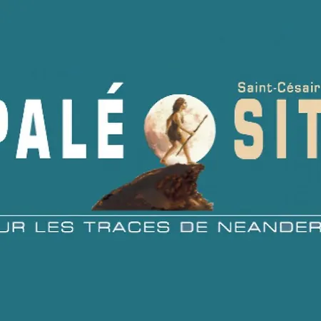 Des Bujours Saint-Bris-des-Bois