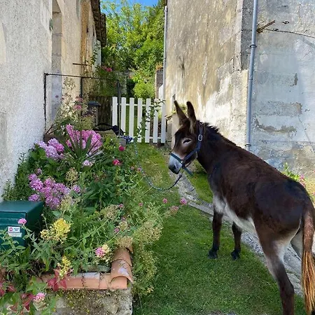 Des Bujours Saint-Bris-des-Bois